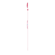 RADIANTLY PINK thumbnail