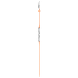 IRIDESCENTLY PEACH thumbnail